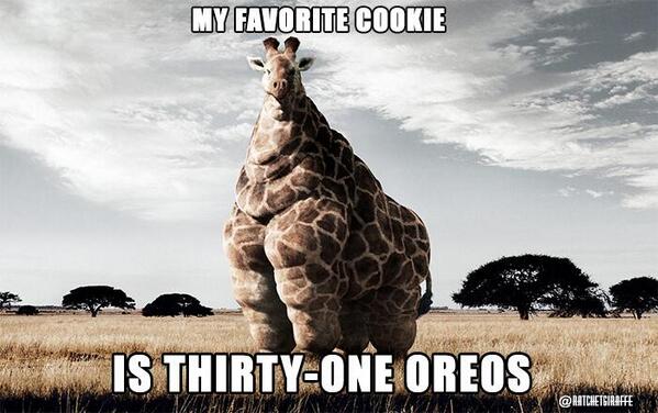 HarvardWriters's tweet photo. Sit down Giraffe. You might have a problem #sendmeoreo http://t.co/GHXNZu7KZJ