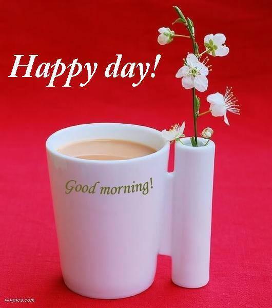 pujaroy282's tweet photo. http://t.co/TQ9URtU5f6