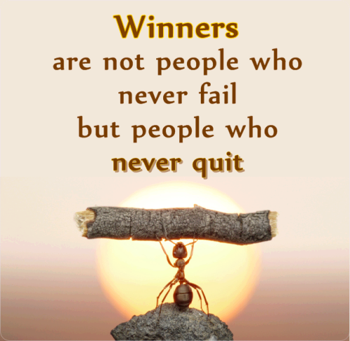 Winners are not those who never fail, but those who never quit: Cole, Edwin  Louis: 9781562921101: : Books