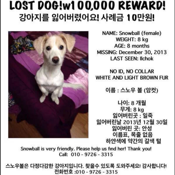 darkshadow10000's tweet photo. 무한RT요청. 스노우볼 찾습니다.
안성 일죽 부근 사시는 분들 관심부탁 드립니다. http://t.co/LgT4g68MlR