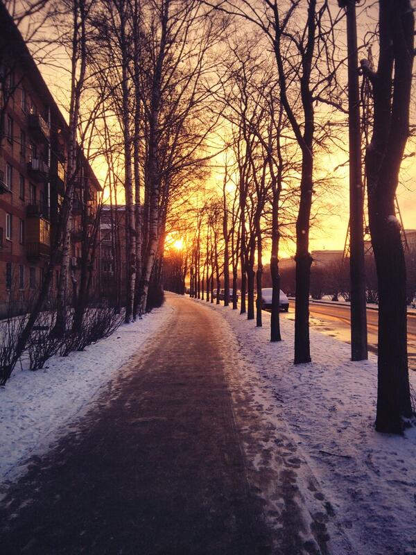 Maria__Klimenko tweet picture