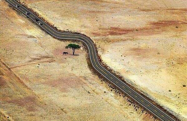 RT <a href="/Fact/">Fact</a>: "Save every tree as if it's the last. Please help me spread this." - Earth