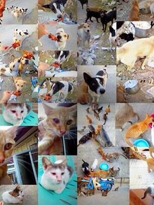 RELATESEX4's tweet photo. เรามีข้าวกิน มีบ้านให้อยู่ 
แต่เด็กๆเหล่านี้ พวกเขากินไม่เคยอิ่ม นอนกับฝุ่นและพื้นปูน http://t.co/Q4jOSR0mkA