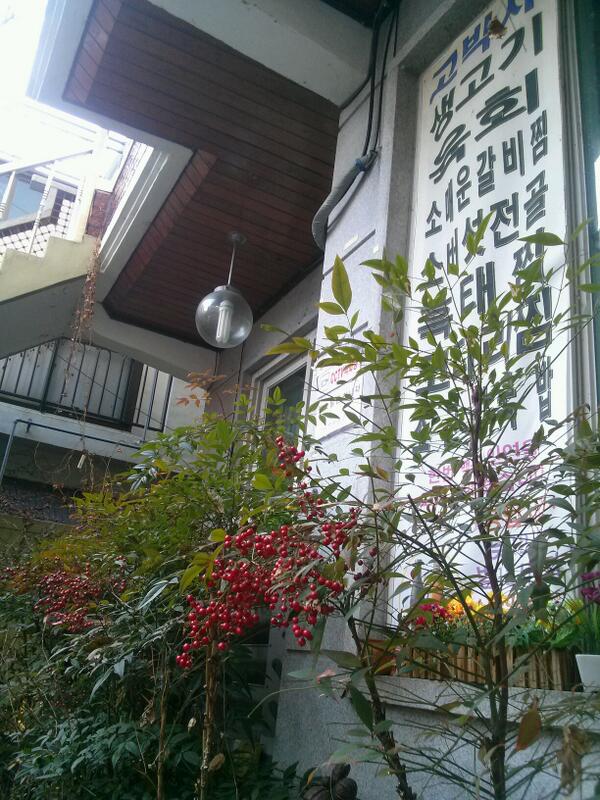 sun600513's tweet photo. 울집 정원에 남천열매~~~^^ http://t.co/wBUm5S6RBs