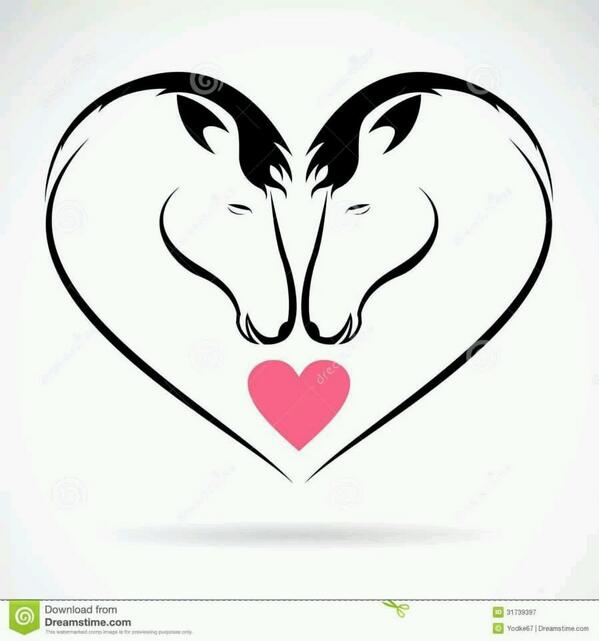 YolithaN's tweet photo. hola buenos dias a todos http://t.co/N36yb7jE51