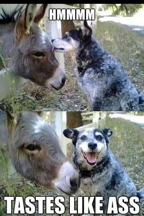 $M (@younghova81) on Twitter photo 