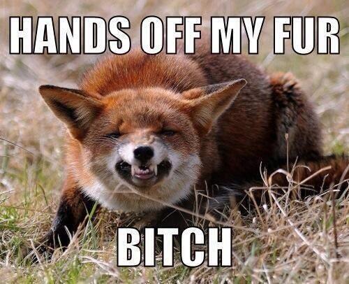 Hands off my fur!

<a href="/nickelson/">NICKELSON</a>-bitch