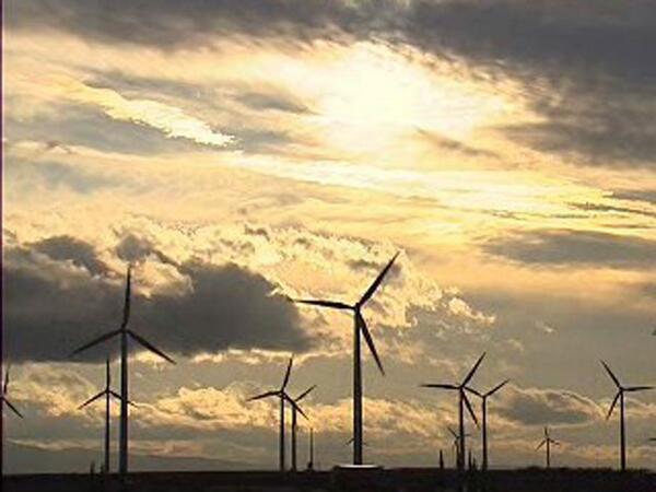 rtvenoticias's tweet photo. La eólica se convierte en la principal fuente de electricidad en España http://t.co/4R7lYplEJf http://t.co/LGpRcgN31y