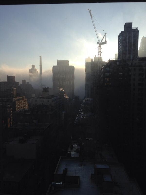 View image on Twitter