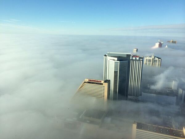 View image on Twitter