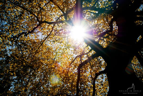 Bron: Iwan Bronkhorst