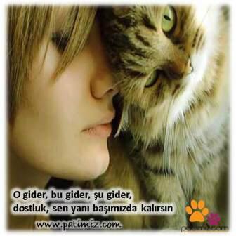 patimiz's tweet photo. o gider , bu gider , şu gider 
dostluk sen hep yanıbaşımızda kalırsın http://t.co/WgpYJna35R