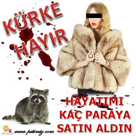 patimiz's tweet photo. KÜRKE HAYIR ! http://t.co/b7KXKPTbNq