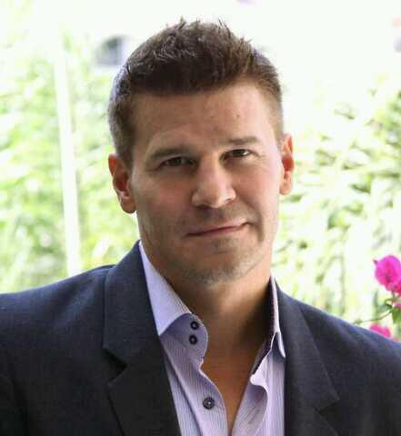 davidboreanazagenteseeleybooth