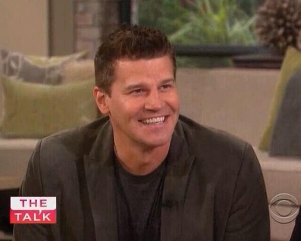 davidboreanazagenteseeleybooth