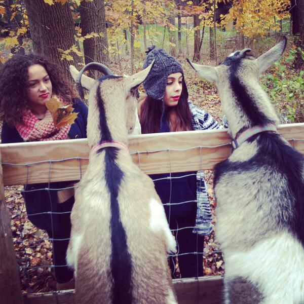 NewDesign_High's tweet photo. Camp Ramapo Trip http://t.co/DkvXO8P55N