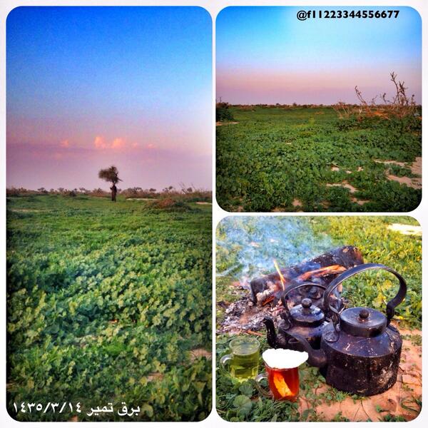 brgh_tumaer's tweet photo. @ArabiaWeatherSA التنهات اليوم شاهي وابوزهيره ع الكيف 
@3ajel_news http://t.co/zxQQ8fnRXn