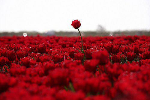 reemh8574 tweet picture