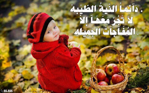reemh8574 tweet picture