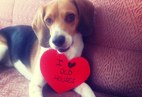 .@CountryLiving Beagles for Old Houses. #CLPets