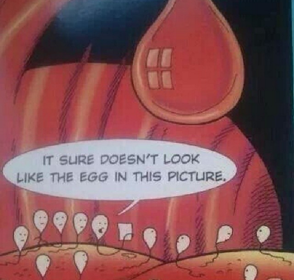 iAmDatFucknDude's tweet photo. http://t.co/ddKmto8h7h
