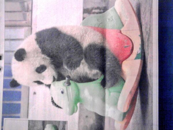 Tbly1's tweet photo. http://t.co/bduStxIE7W