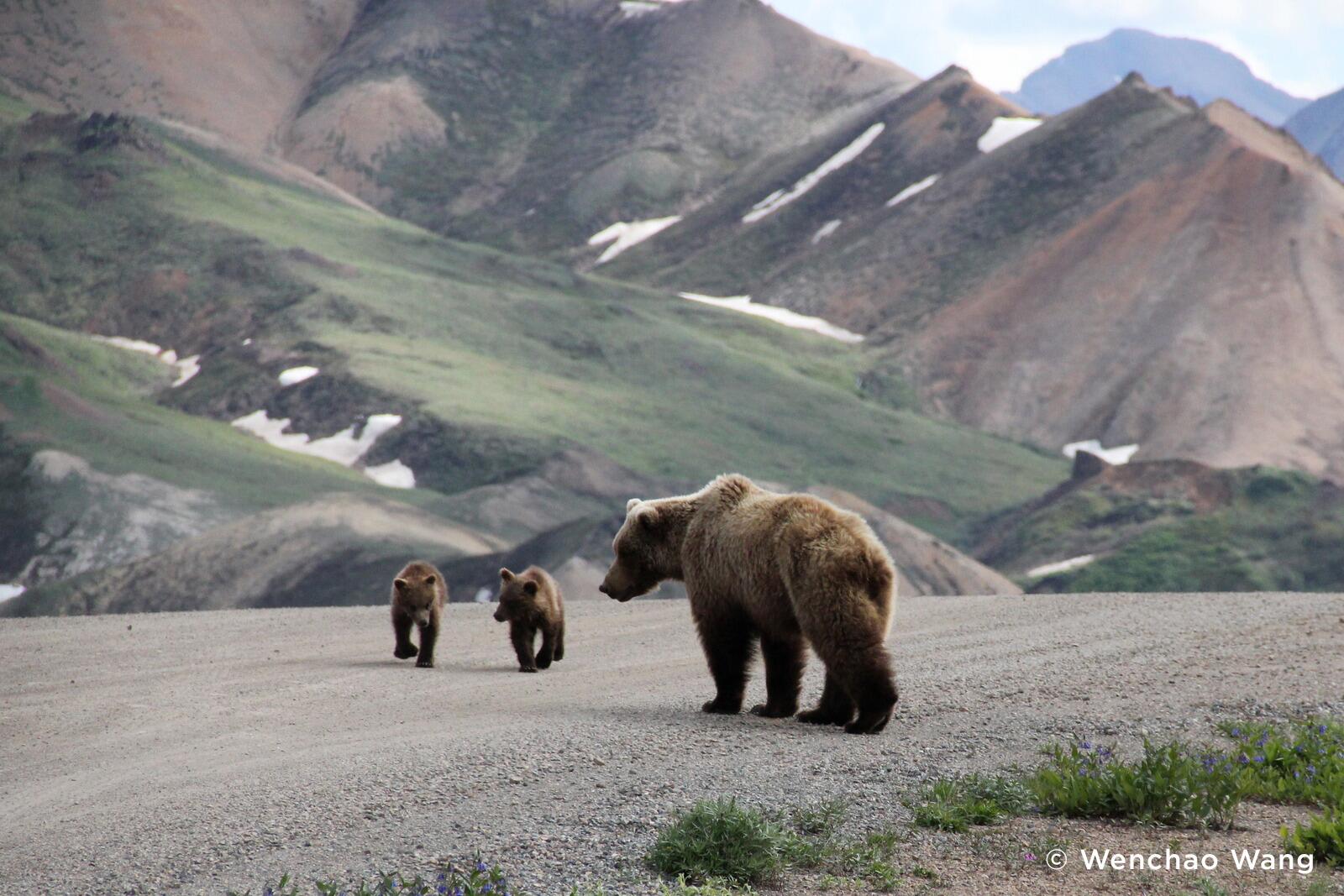 Embedded image permalink