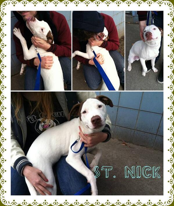 SAVE_R_Animals's tweet image. #NYC #RESCUE #URGENT #DEATHROW #DONATE

Found at buff.ly/19JX1BH