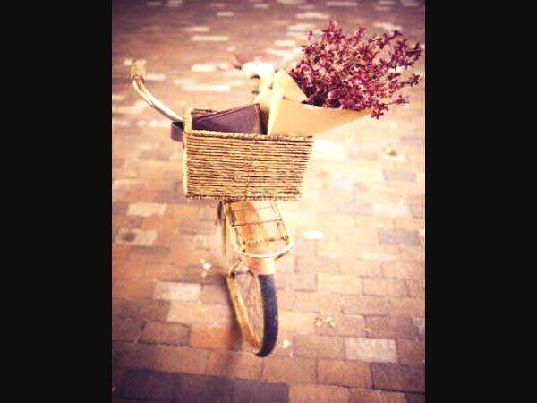 أهديك حب أنتٍ أغلى أهديك ورد أنت أحلى ، كُل عام وانت بخير