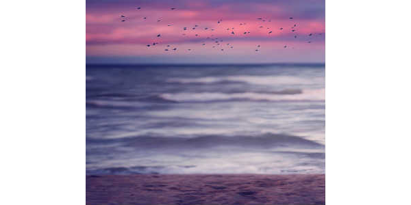 فِي اللّحظَہ التي تُقرر انّكَ لَا تُريد شَيئًا مِنَ الحَياه تَبْدَأ الحَياة بِتَحقِيق مَا كُنتَ تتمَنّاهُ مِنها !