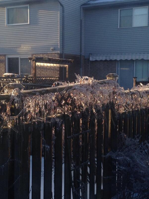 FoxHuntCo tweet picture