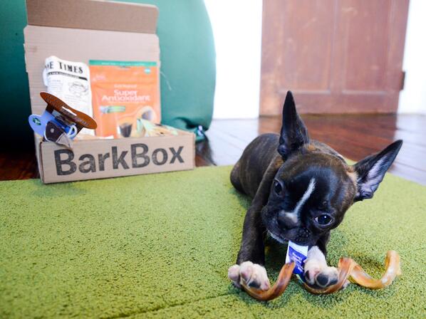 barkbox's tweet photo. 92% of dogs love BarkBox (8% are dirty liars). Get $10 off a new pupscription of goodies --> http://t.co/NXre50Ls13 http://t.co/bPQCyH0h4s