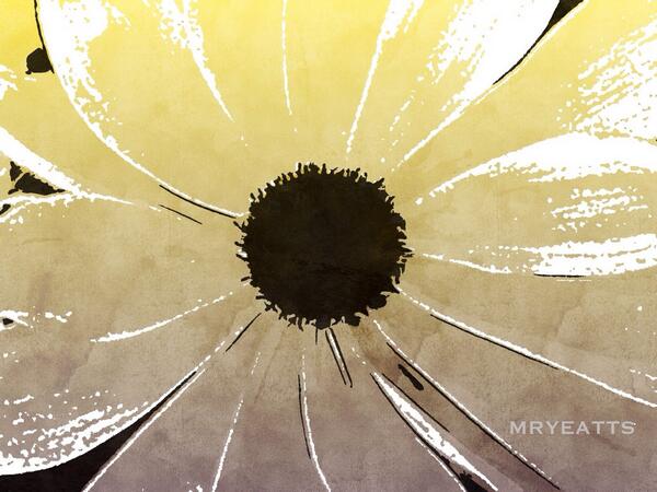 mryeatts's tweet photo. Sunflower, @Popsicolor http://t.co/Uqbg9Sg4c3