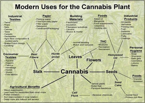 MendocinoGroup's tweet photo. Modern uses for the cannabis plant. http://t.co/GH80RONFWQ