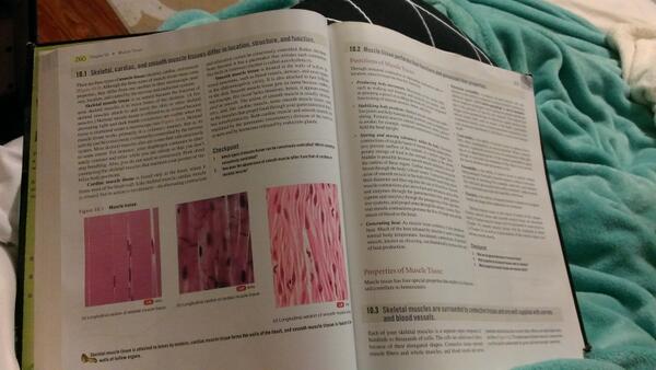 descendingdream's tweet photo. RIP textbooks. Kindle Fire HDX comes in the mail today http://t.co/06NN1idasP