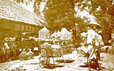 zamandoeloe's tweet photo. Pasar burung Ngasem Jogja (1809). #zamandoeloe http://t.co/d8u7lpXCTL