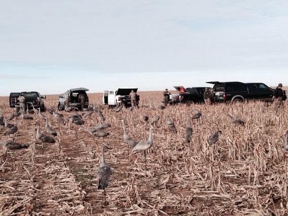 CraneWreckers's tweet photo. Fun times with #cranewreckers http://t.co/i6EcG6Jq8t