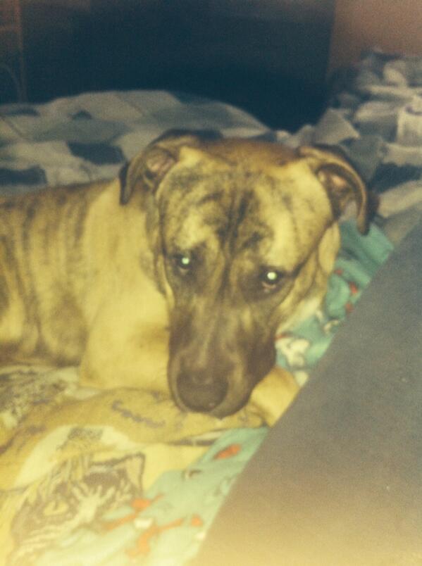 Jessica Racanelli tweet media