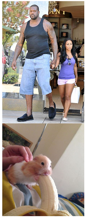 TrillestMemes's tweet photo. Do the physics http://t.co/hmtoNzDymS