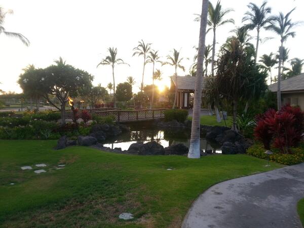DB_FW's tweet photo. #kingsland @HiltonHotels in #Hawaii. Best week ever. #islandstyle http://t.co/NkF701fHHg