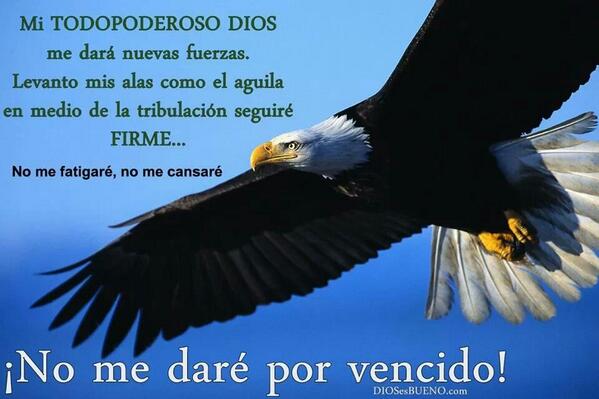 Salmos 103:5 - el que sacia con bien tus anhelos, de modo que te  rejuvenezcas como el águila. - Bíblia