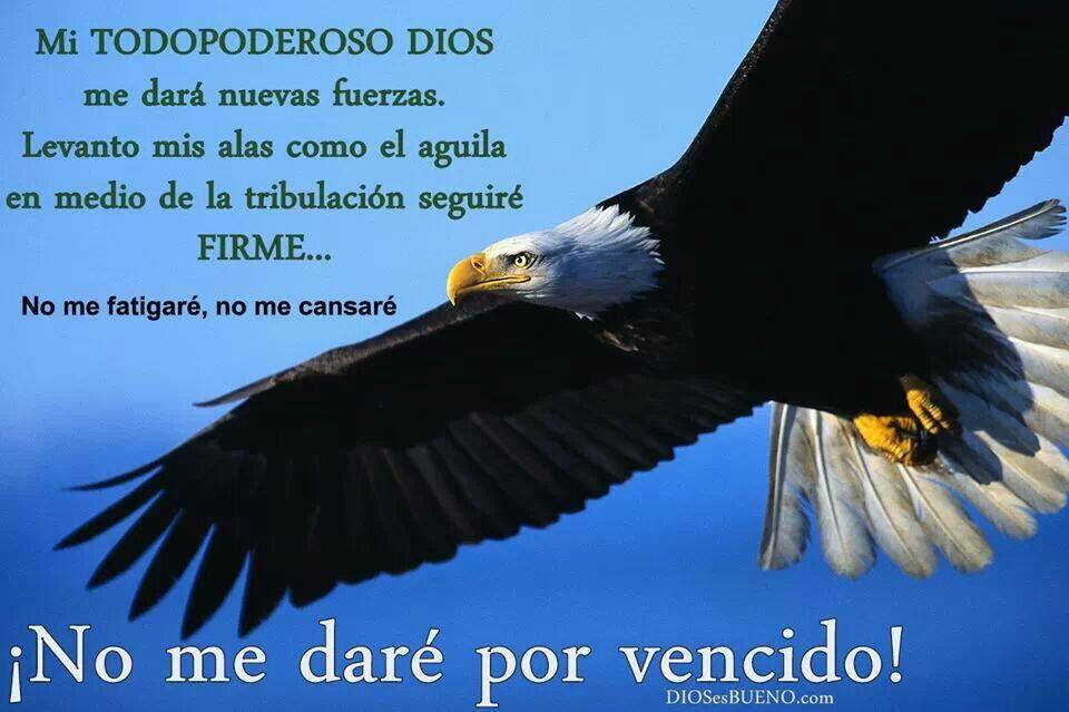 Salmos 103:5 TLA Mi Dios me da siempre - Visión de Águila