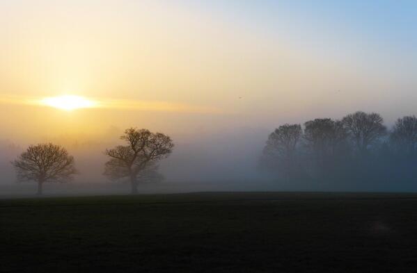 FodderHarrogate's tweet photo. A beautiful #Harrogate sunrise this morning, this was the view from Fodder ..... http://t.co/1lrgr5F6TH