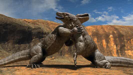 christian_renno's tweet image. @Extinctinfo megalania fighting