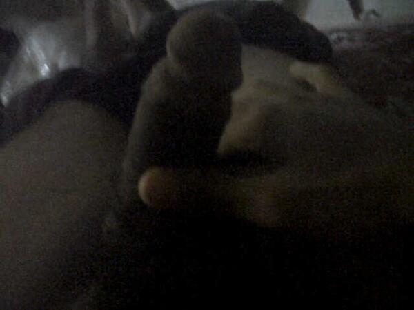 nyisex's tweet photo. @yoyoknud http://t.co/T9V1ZvHFXM