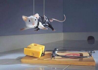 Yujin22024's tweet photo. Innovate, then Act! #TransformNow http://t.co/Y8GSPztswV