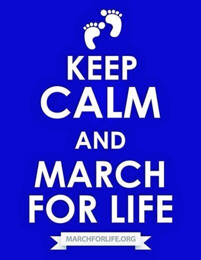InspiredPatriot's tweet photo. The sanctity of life is so important! #whywemarch @March_for_Life http://t.co/4wuEc5t42V