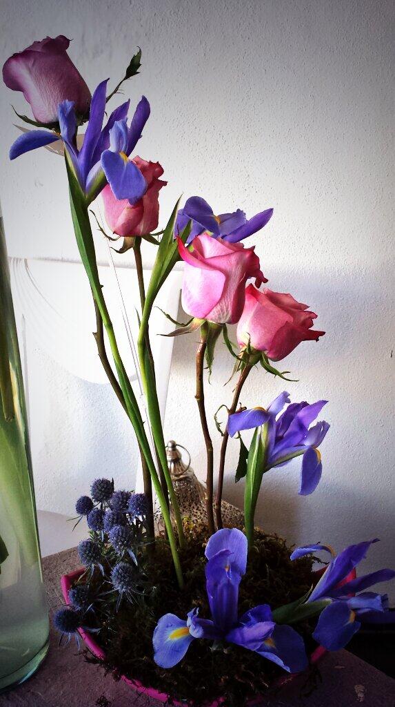 DECOIDEE tweet picture