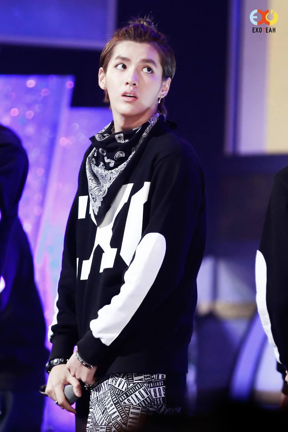 BeG7-hECYAAjcy3.jpg:large