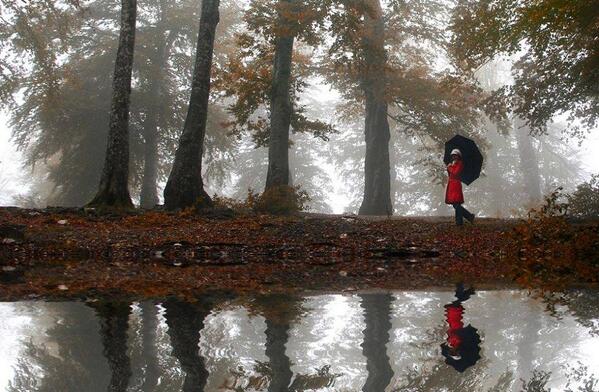 "Walking in Freedom", by E.Ayyıldız